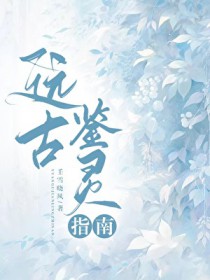 远古鉴灵指南