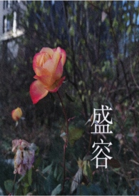 安徽黄山盛容