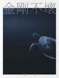 金刚不坏还是铜皮铁骨