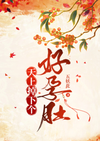 天上掉下来个好孕肚小说