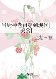 厨神小当家的小说